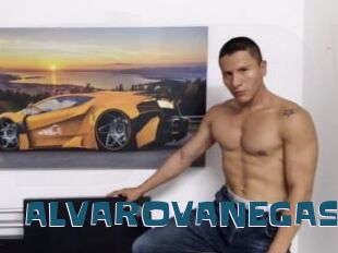 ALVAROVANEGAS