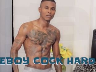 ARON_NICEBOY_COCK_HARD