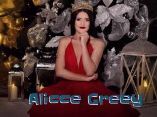 Alicce_Greey