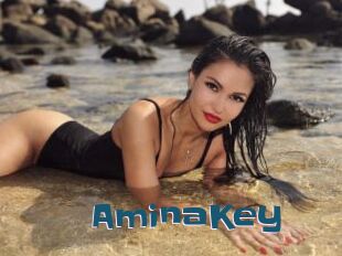 AminaKey