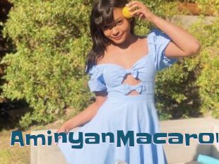 AminyanMacaron