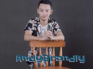 AndyBrandly