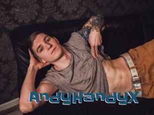 AndyHandyX