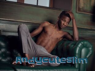 Andycuteslim