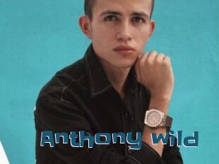 Anthony_wild