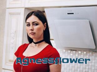 Agnessflower