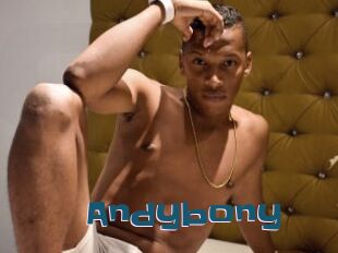 Andybony