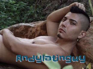 Andylatinguy