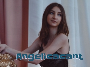 Angelicacant