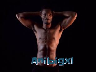 Anibigxl