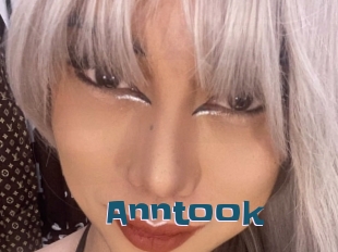 Anntook