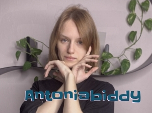 Antoniabiddy