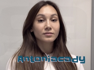 Antoniacady