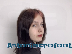 Antoniacrofoot