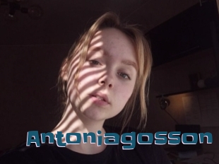 Antoniagosson