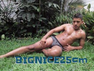 BIGNICE25cm