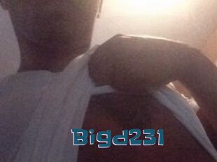 Bigd231