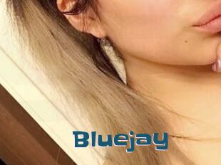 Blue_jay