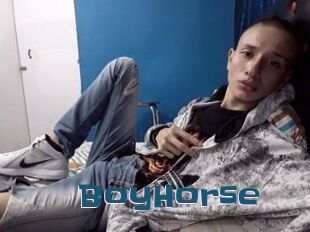 BoyHorse