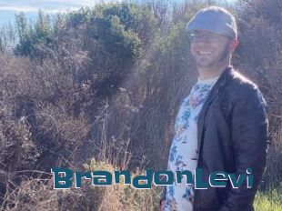 BrandonLevi