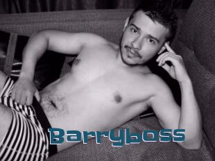 Barryboss