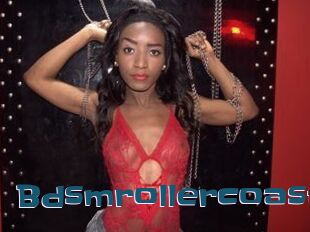 Bdsmrollercoast