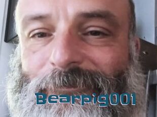 Bearpig001