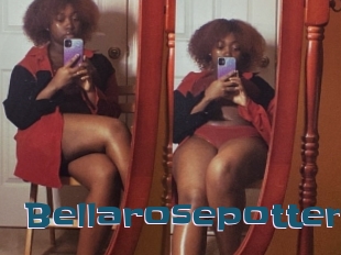 Bellarosepotter