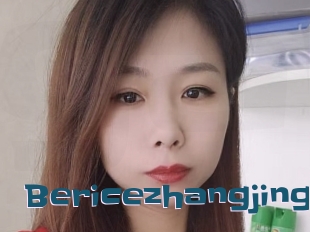 Bericezhangjing