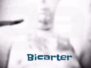 Bicarter