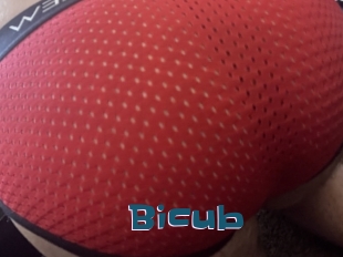 Bicub