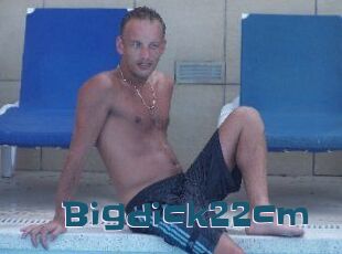 Bigdick22cm