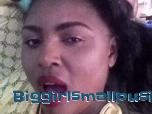Biggirlsmallpusi