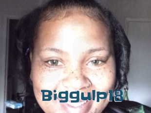 Biggulp18