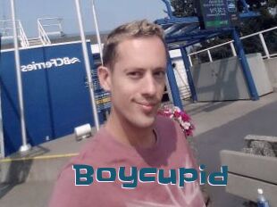 Boycupid