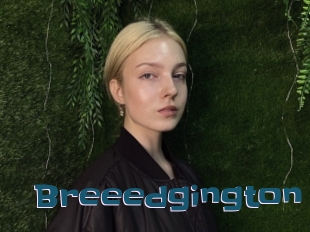 Breeedgington