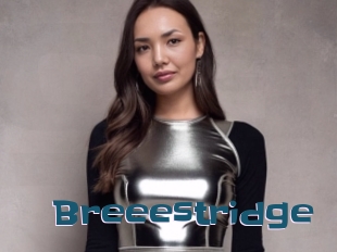 Breeestridge