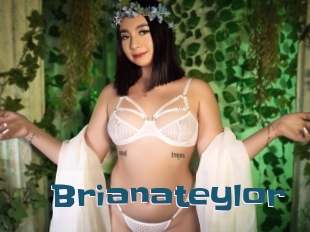 Brianateylor