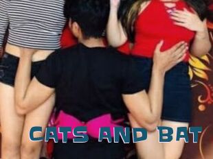 CATS_AND_BAT
