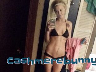 Cashmerebunny