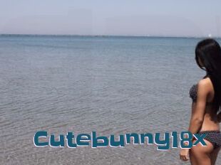 Cutebunny18x