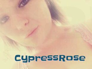 Cypress_Rose
