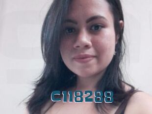 C118288