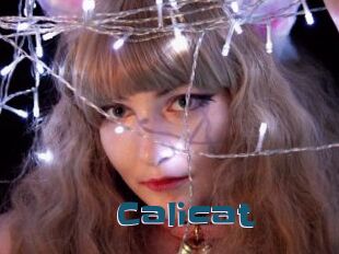 Calicat
