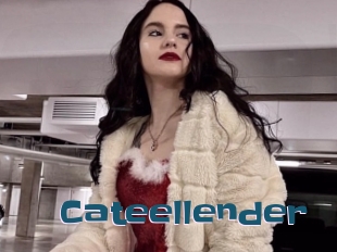 Cateellender