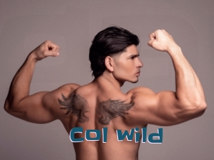 col_wild Gang Bangs