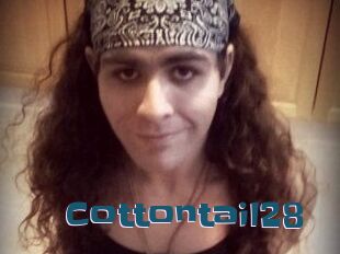 Cottontail28