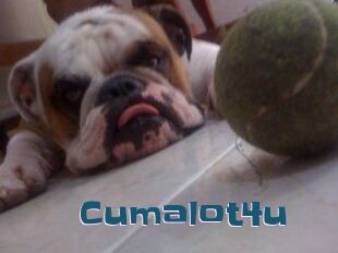 Cumalot4u