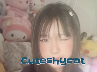 Cuteshycat