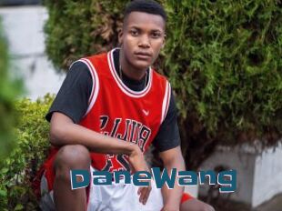 DaneWang